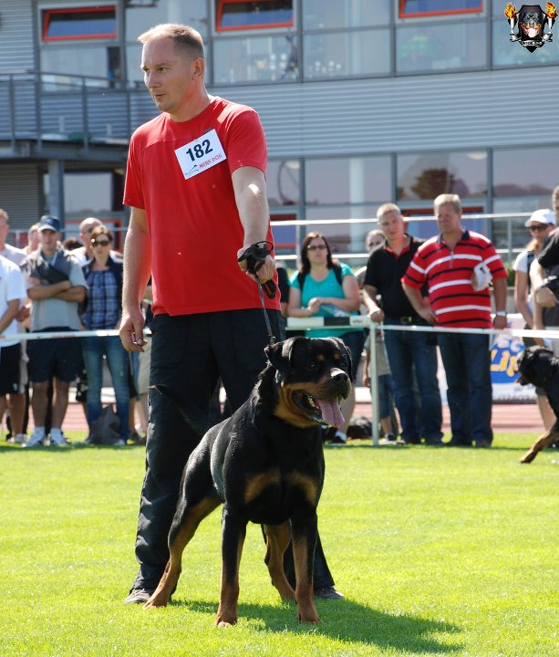 ExcaliburADRKnew.jpg ExcaliburADRKnew.jpg